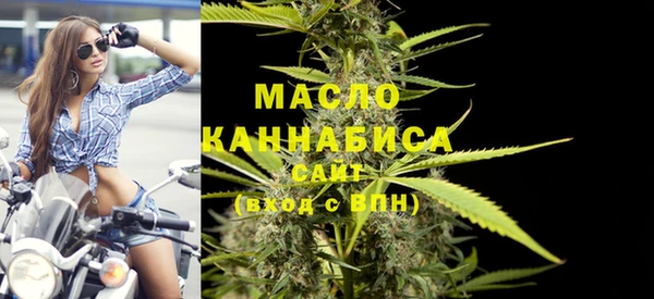 мдпв Михайловск
