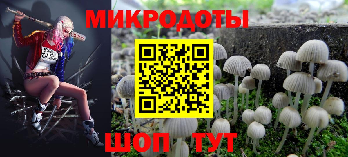 Галлюциногенные грибы мухоморы Печора