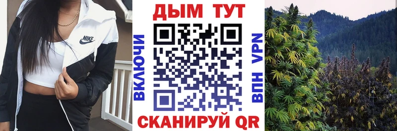 где купить наркоту  Печора  кракен   Бошки марихуана AK-47 